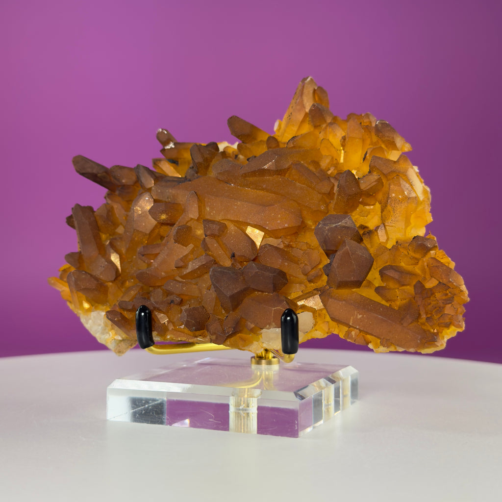 Golden Healer Quartz Cluster from Collier Creek Arkansas with Gold Display Stand