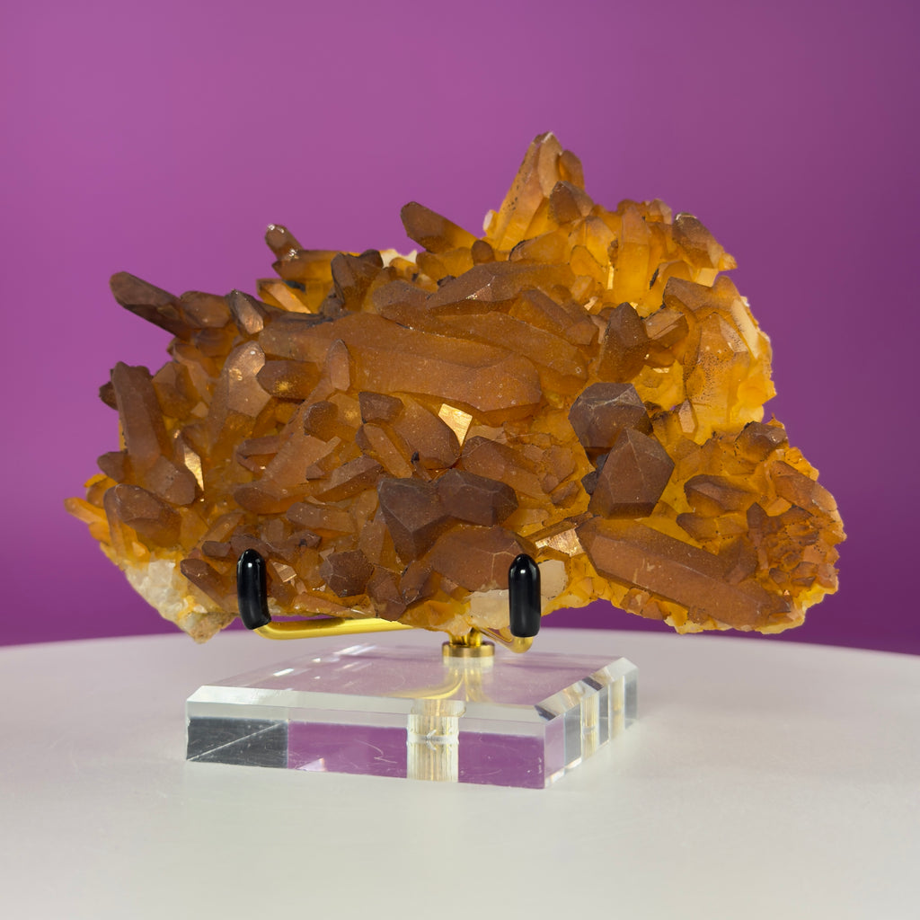 Golden Healer Quartz Cluster from Collier Creek Arkansas with Gold Display Stand
