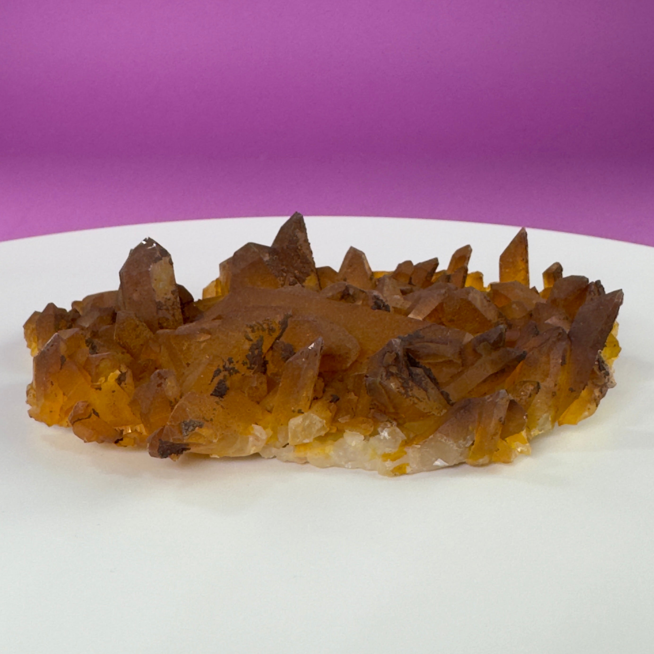 Golden Healer Quartz Cluster from Collier Creek Arkansas with Gold Display Stand