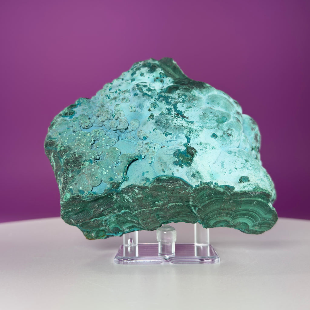 Chrysocolla Malachite Mineral Specimen | Collector Crystal Display
