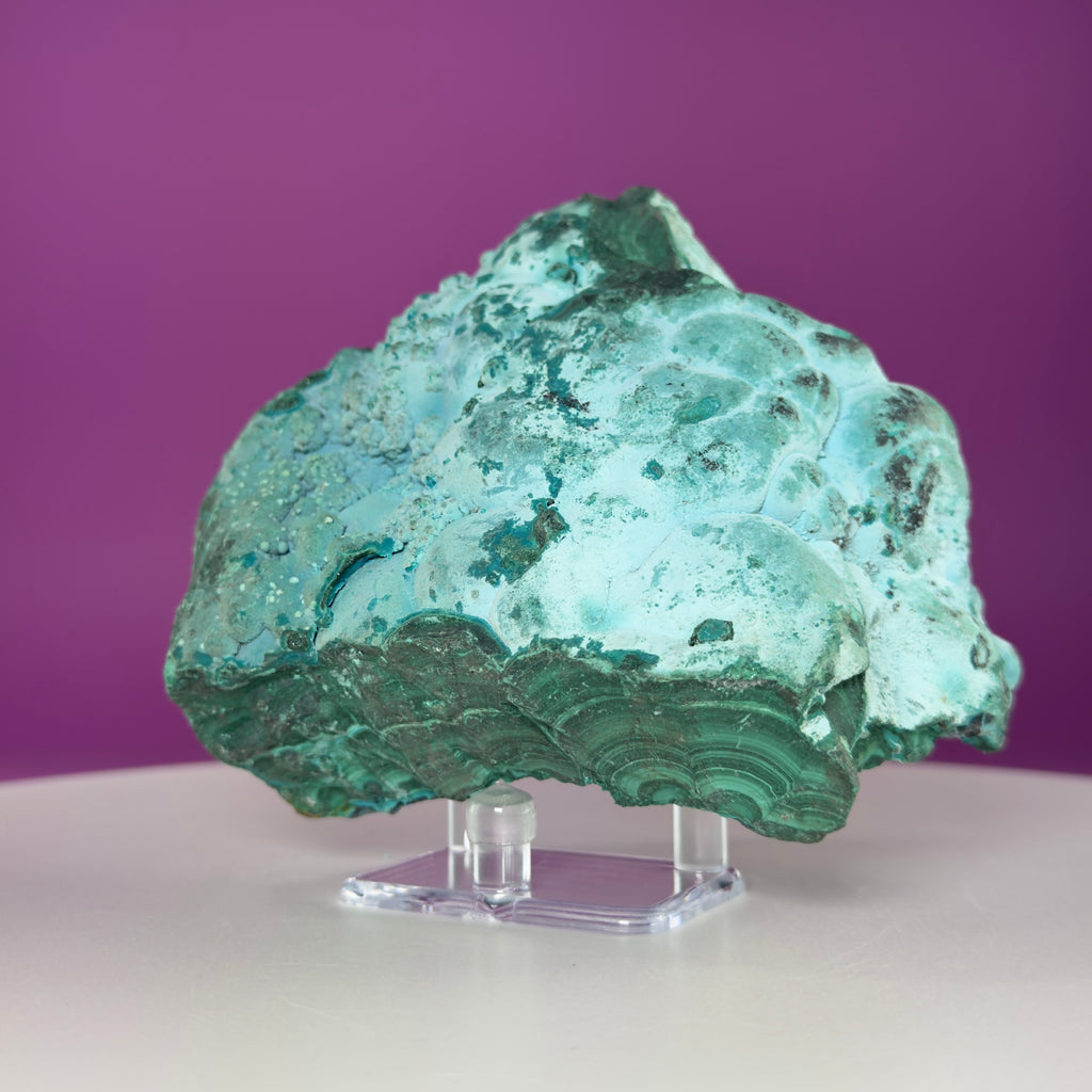 Chrysocolla Malachite Mineral Specimen | Collector Crystal Display