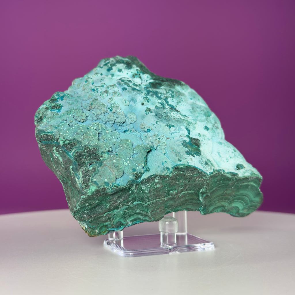 Chrysocolla Malachite Mineral Specimen | Collector Crystal Display