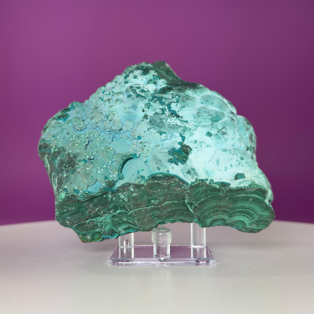 Chrysocolla Malachite Mineral Specimen | Collector Crystal Display