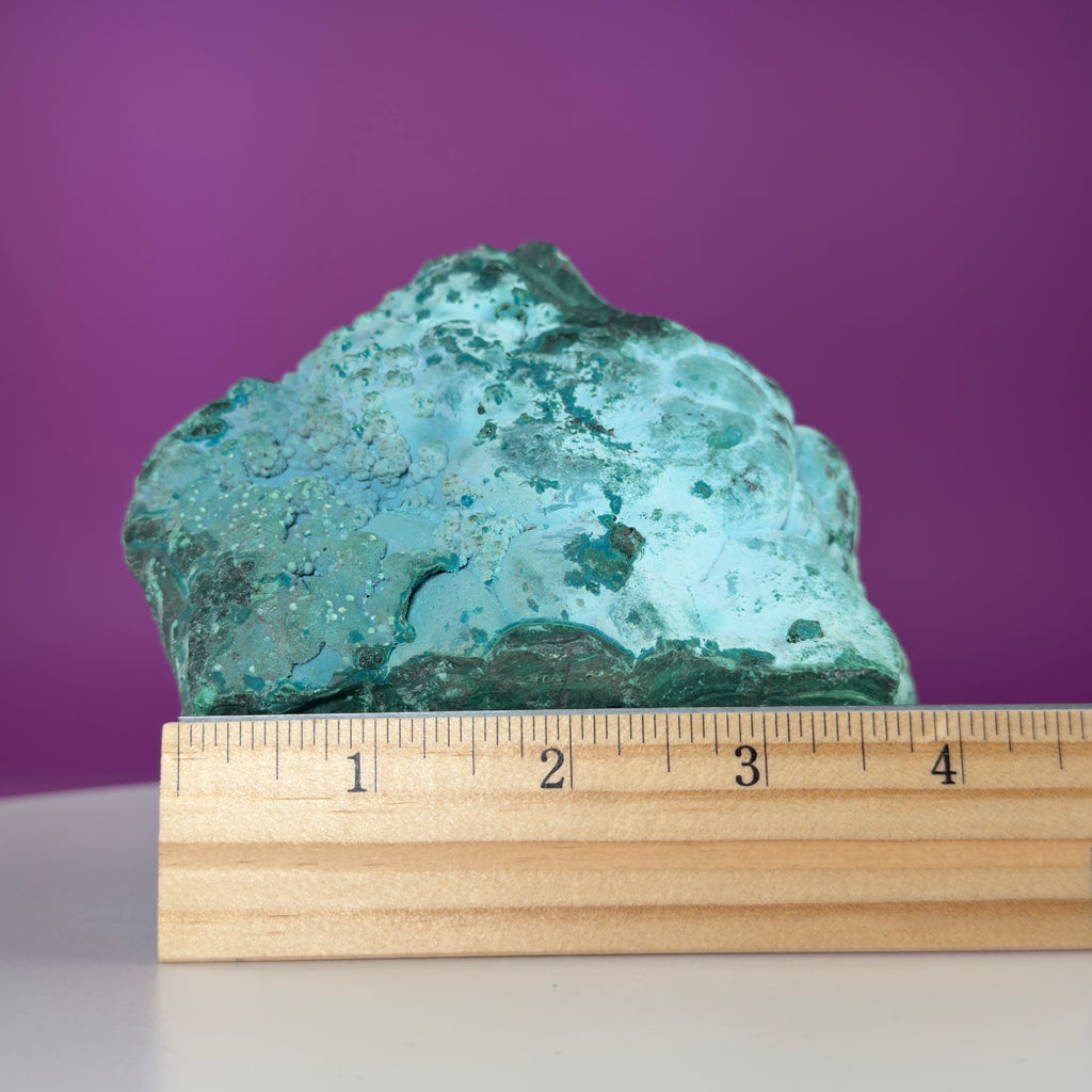 Chrysocolla Malachite Mineral Specimen | Collector Crystal Display