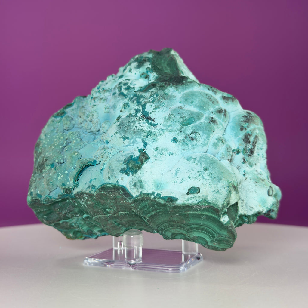 Chrysocolla Malachite Mineral Specimen | Collector Crystal Display