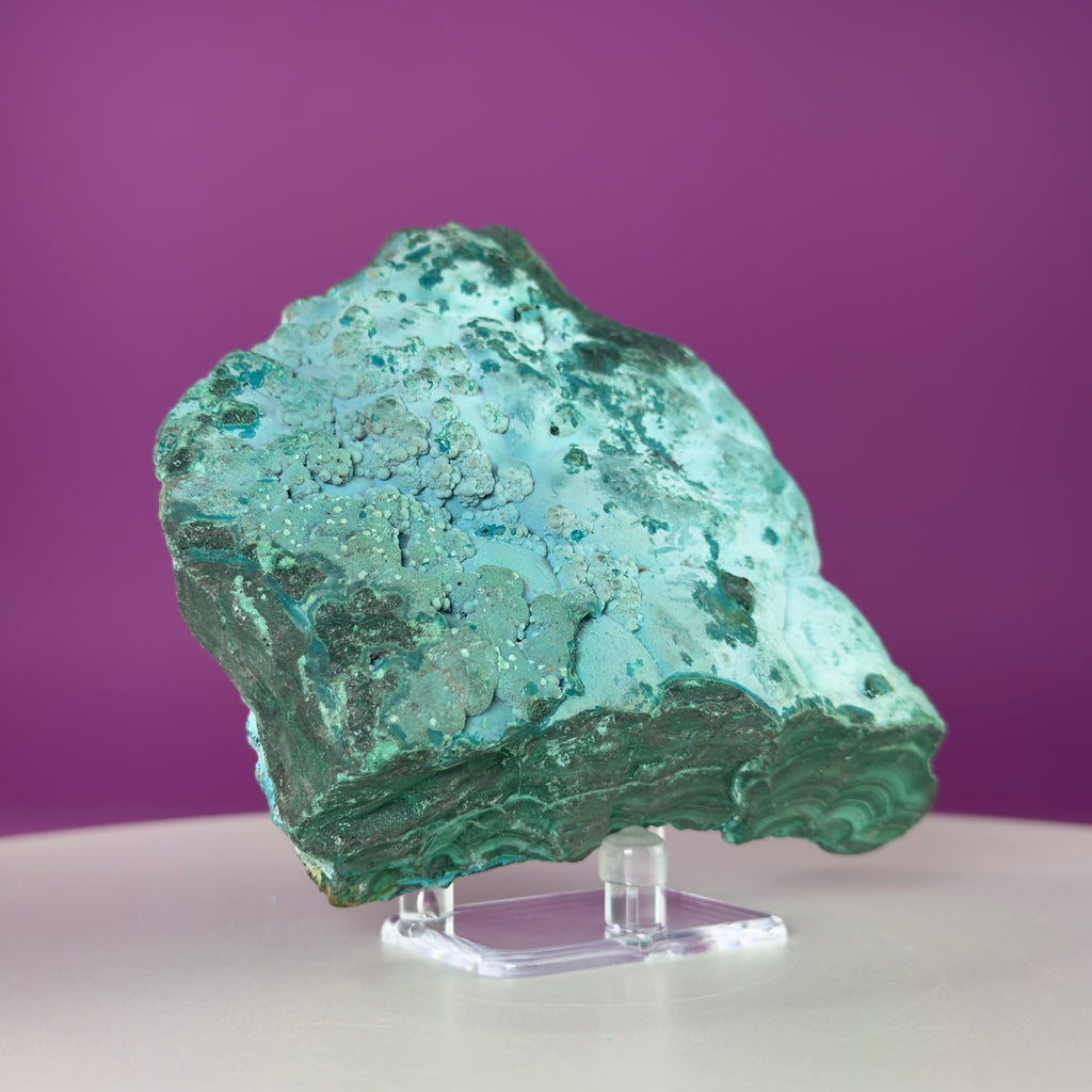 Chrysocolla Malachite Mineral Specimen | Collector Crystal Display