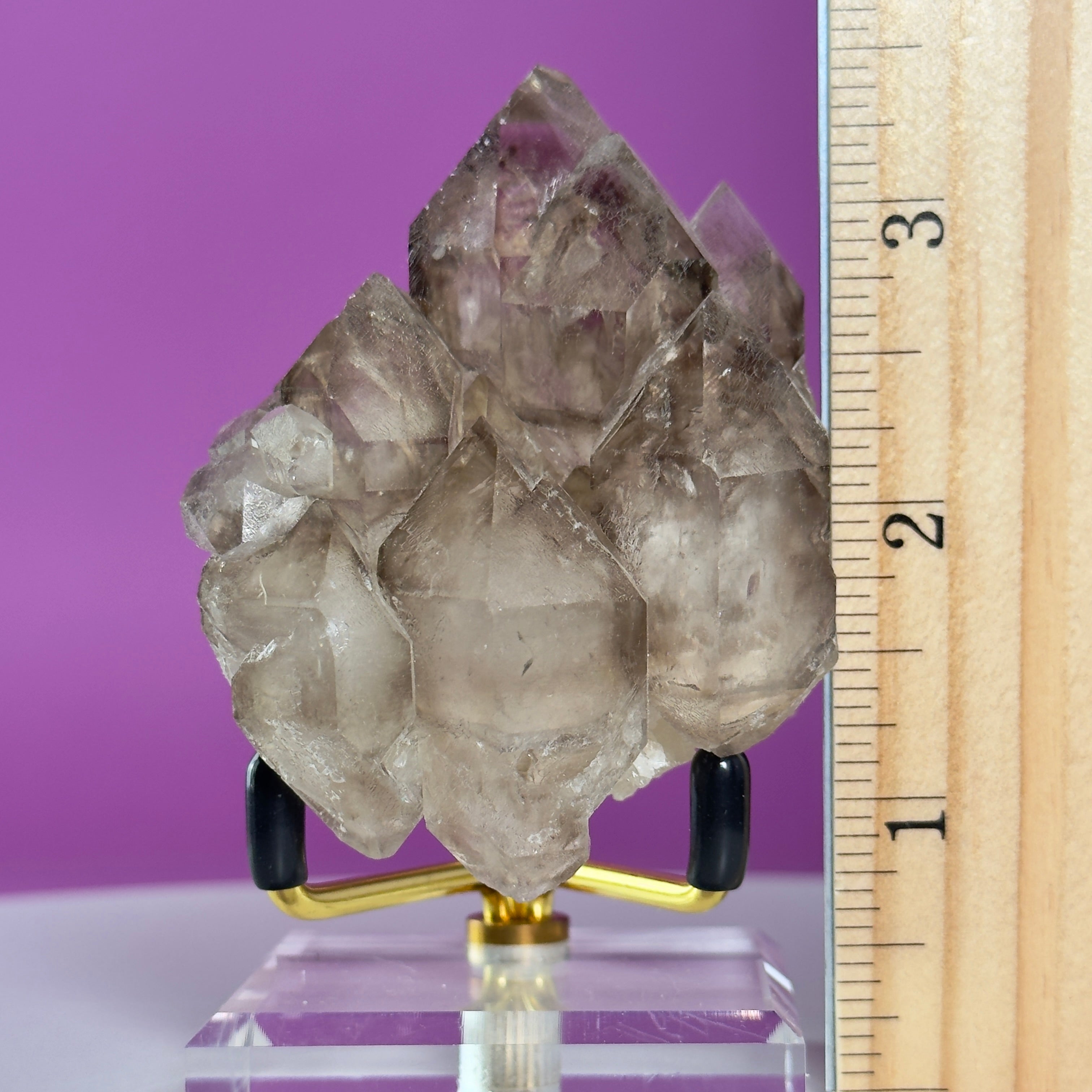 Smoky Quartz Elestial Crystal Cluster (Includes Gold Metal/Acrylic Stand)