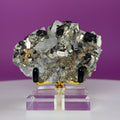 Chalcopyrite on Quartz w Gold Metal Acrylic Stand