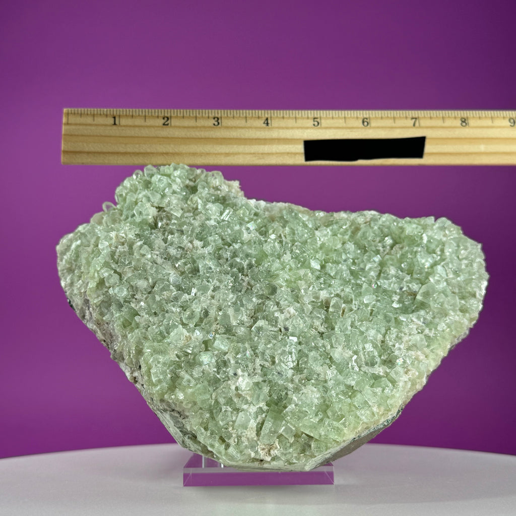 Large Zeolite Apophyllite Statement Cluster with Stand, 8+ Pounds