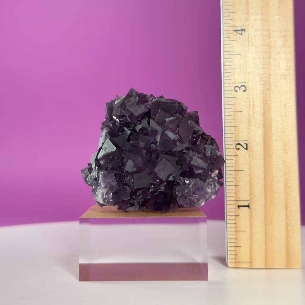 Purple Fluorite Cube Cluster from Anhui China Display Piece