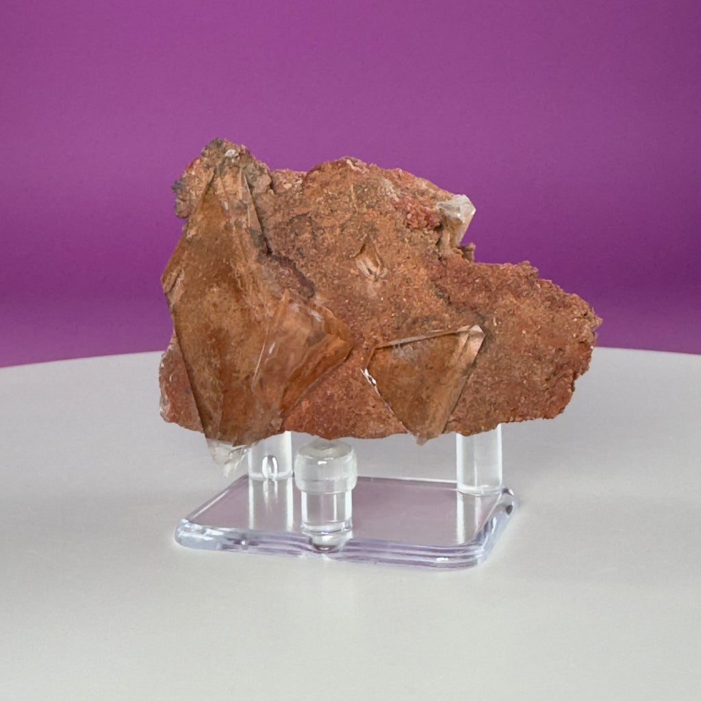 Selenite on Matrix Crystal from Bermejillo, Durango, Mexico