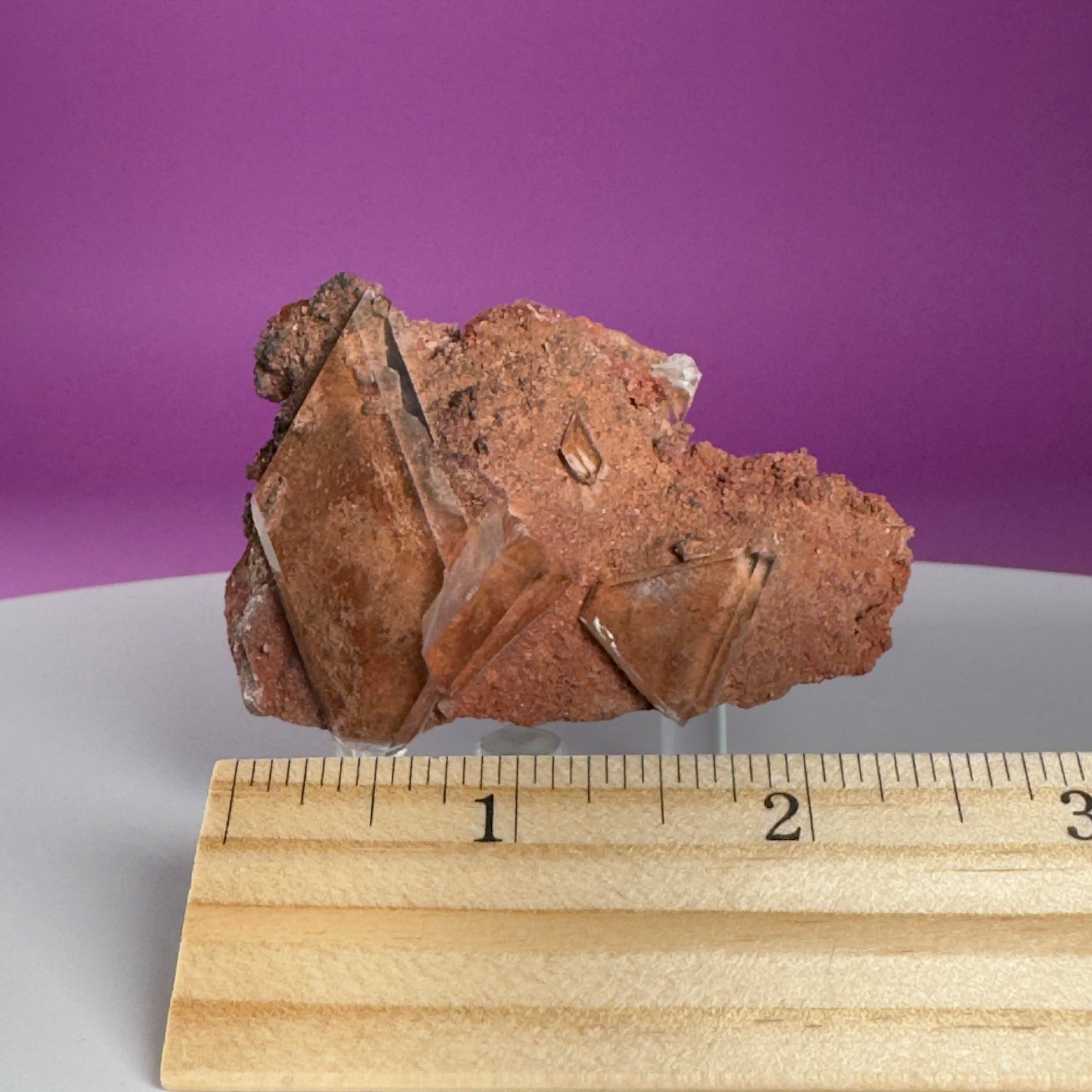 Selenite on Matrix Crystal from Bermejillo, Durango, Mexico