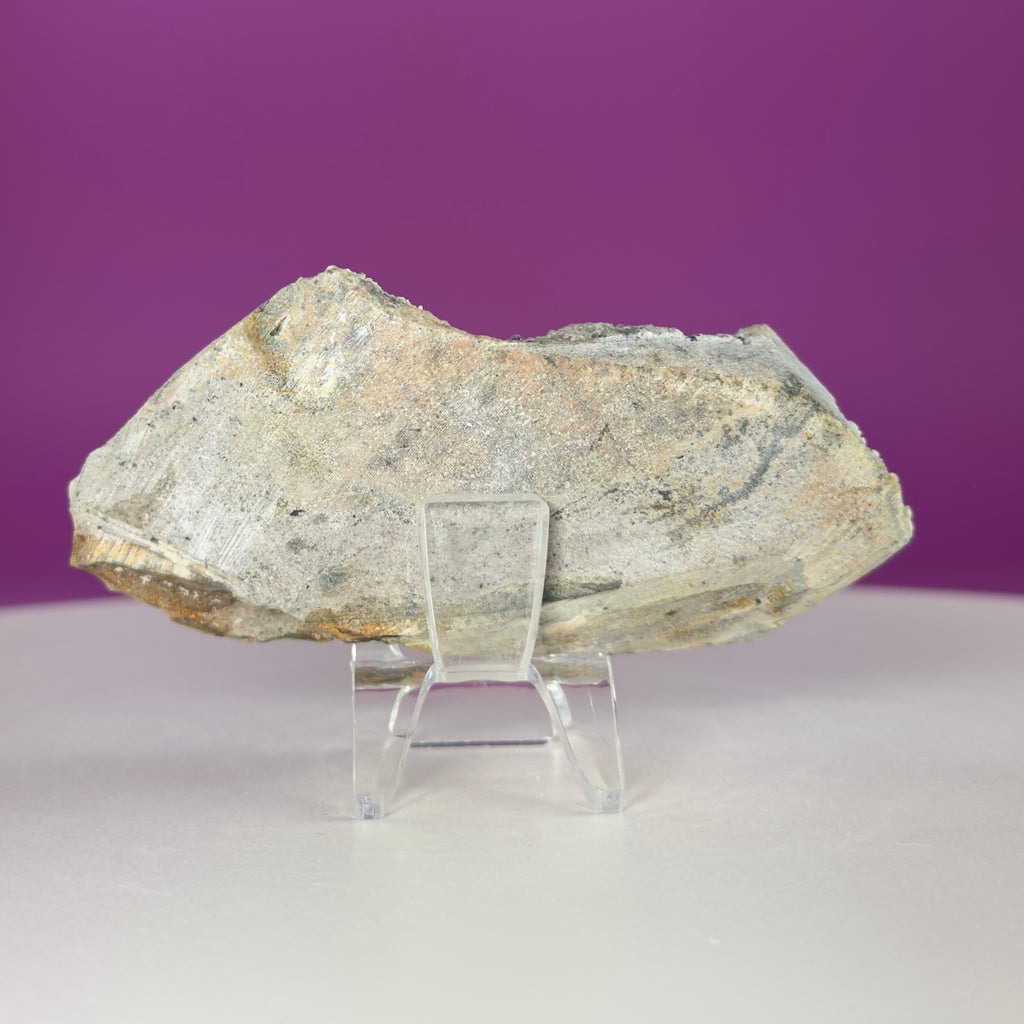 Blueberry Fluorite Specimen from Huanggangliang Mine, Inner Mongolia