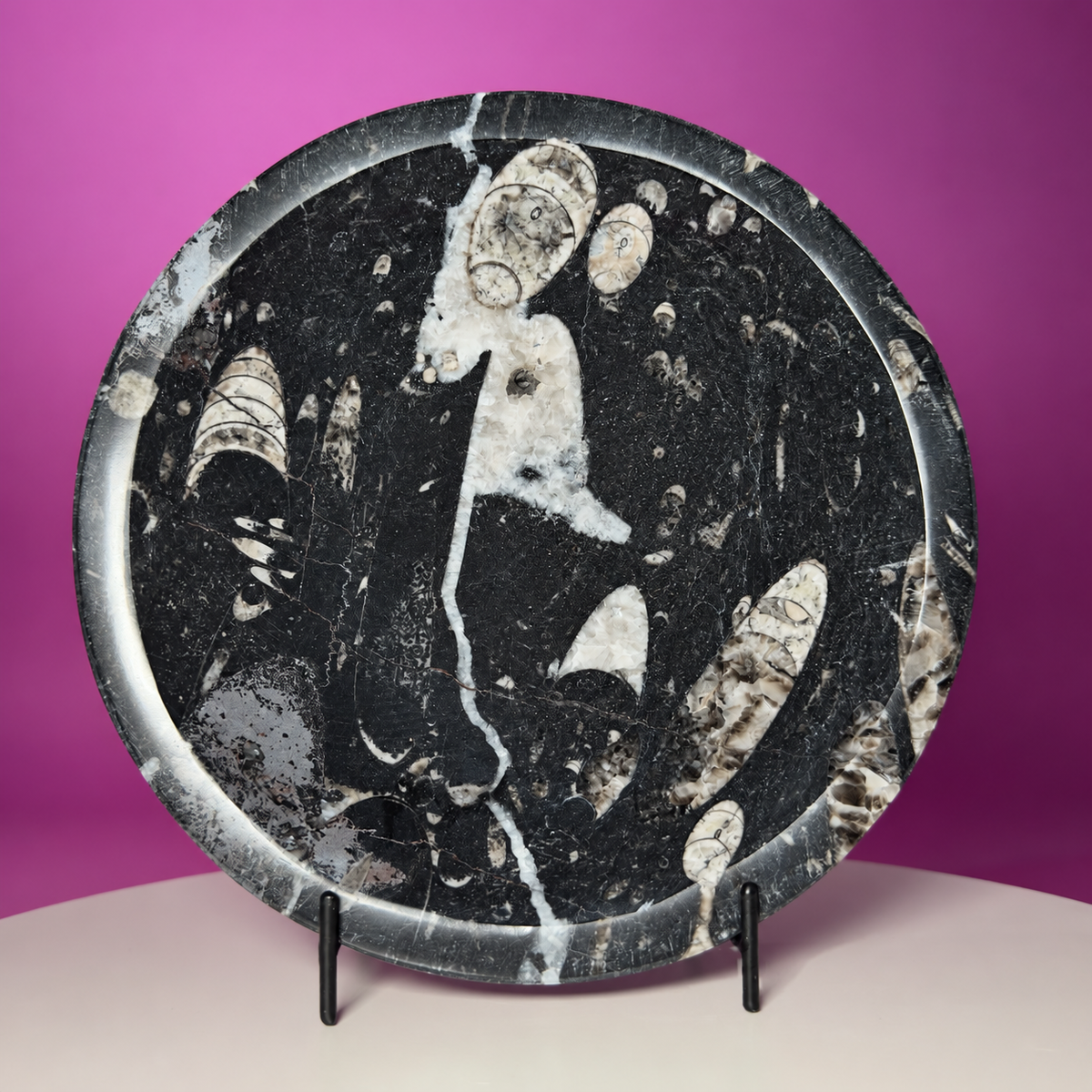 Orthoceras Fossil Bowl Black Limestone Decorative Dish with Stand 748g