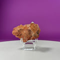 Selenite on Matrix (Bermejillo, Durango, Mexico) (Includes Acrylic Stand)