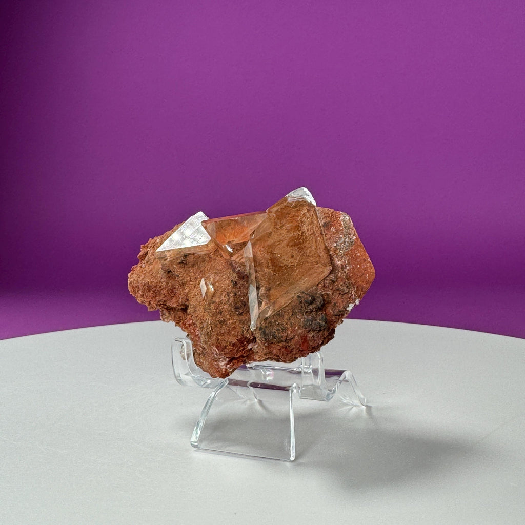 Selenite on Matrix (Bermejillo, Durango, Mexico) (Includes Acrylic Stand)