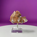 Selenite on Matrix (Bermejillo, Durango, Mexico) (Includes Silver Metal/Acrylic Stand)