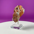 Selenite on Matrix (Bermejillo, Durango, Mexico) (Includes Silver Metal/Acrylic Stand)