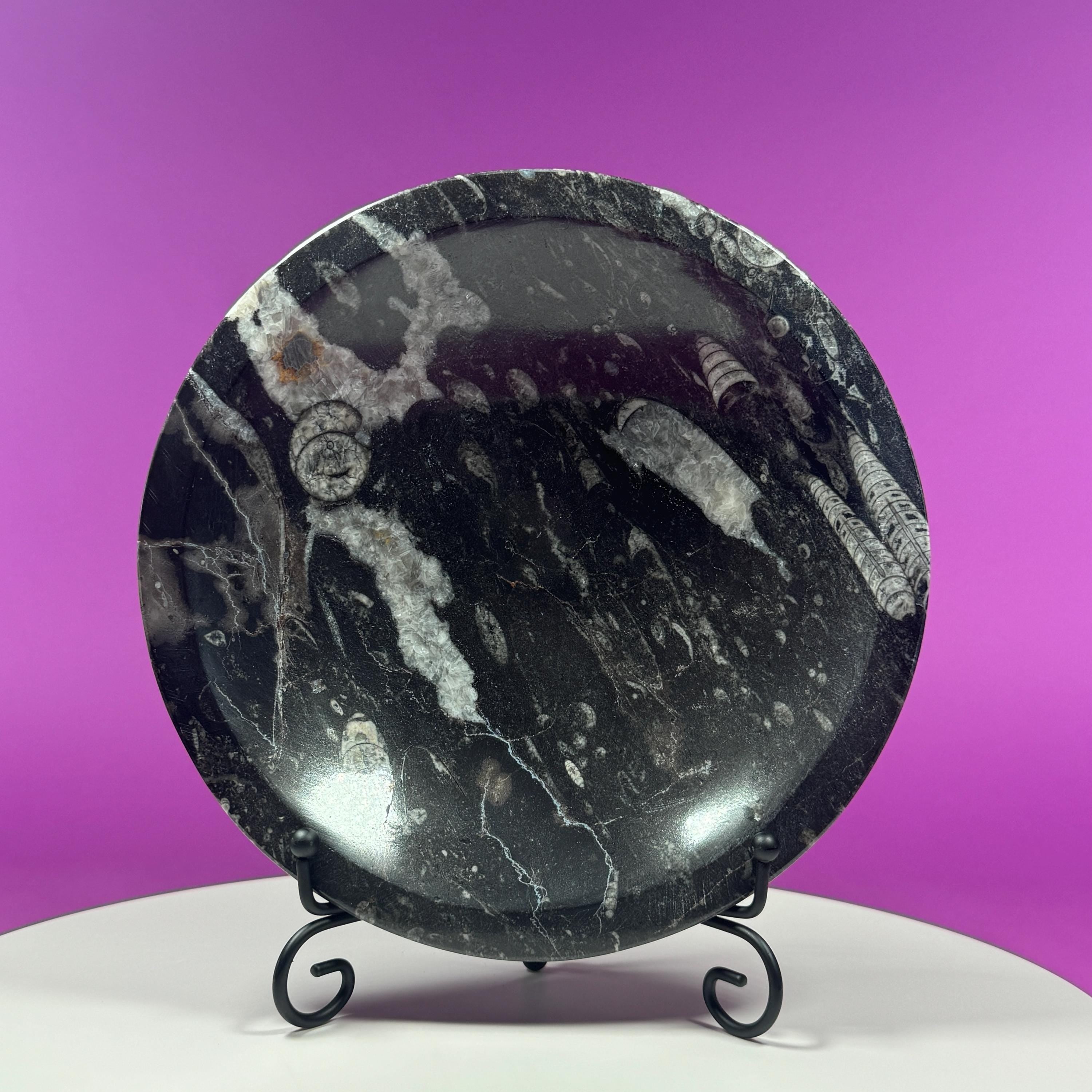 Orthoceras Fossil Bowl | Ancient Marine Fossil Stone Display Dish