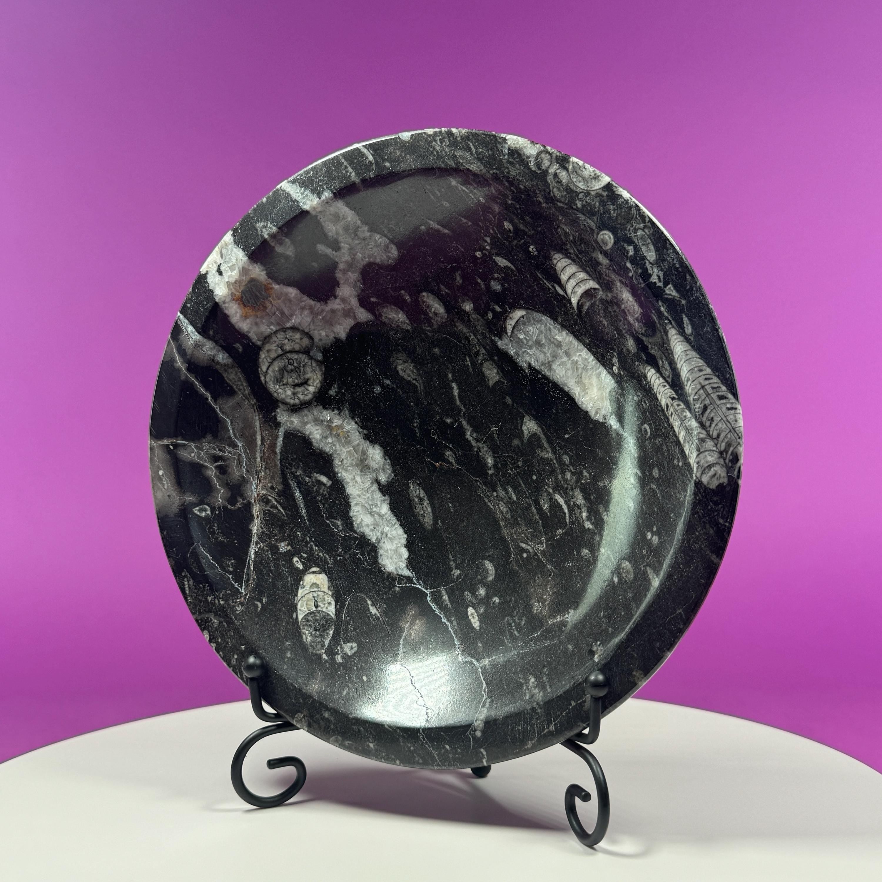 Orthoceras Fossil Bowl | Ancient Marine Fossil Stone Display Dish