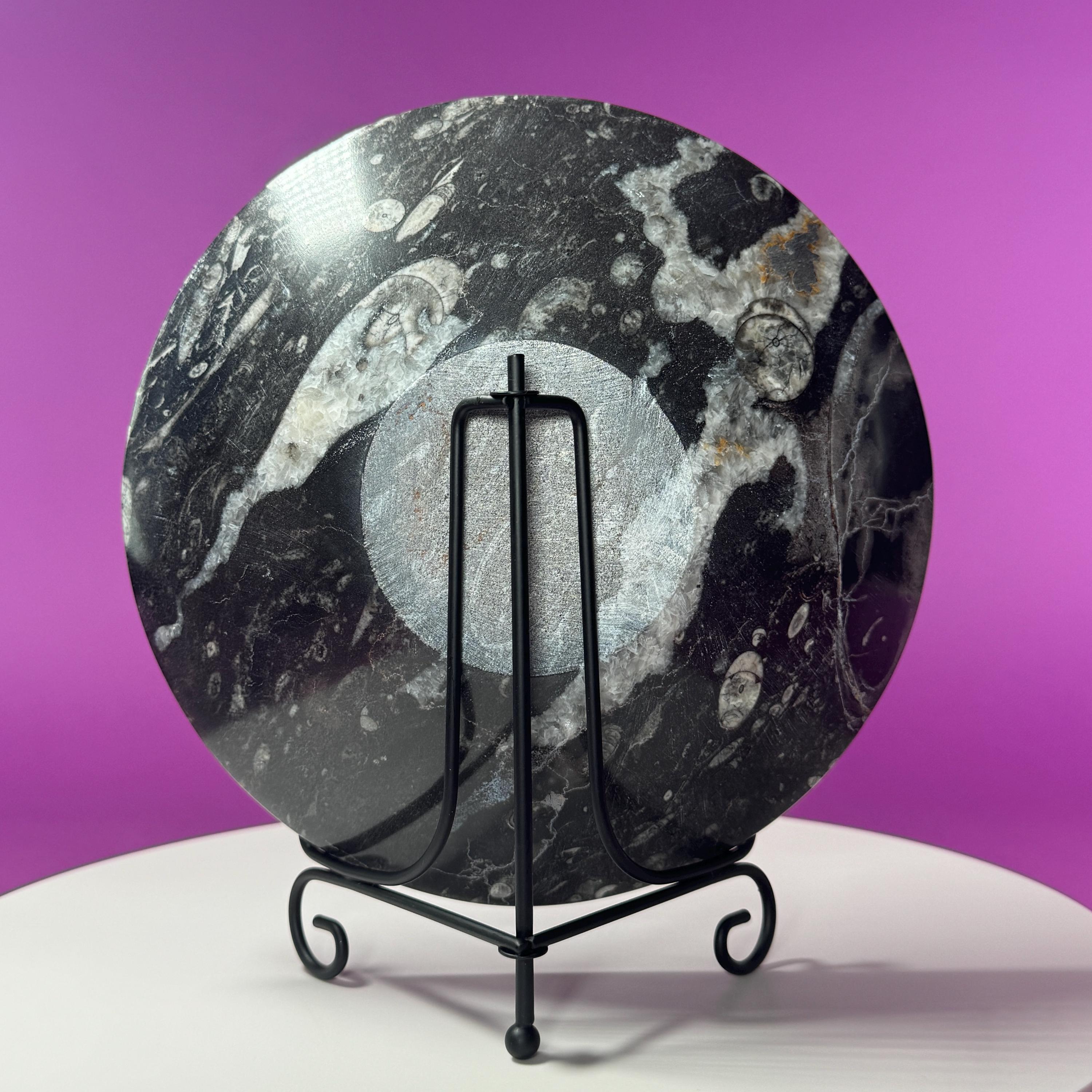 Orthoceras Fossil Bowl | Ancient Marine Fossil Stone Display Dish