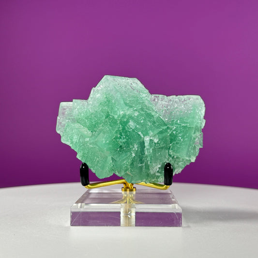 Halite with Paratacamite Specimen (Rudna Mine, Poland), Collectors Item, (Includes gold metal/acrylic stand)