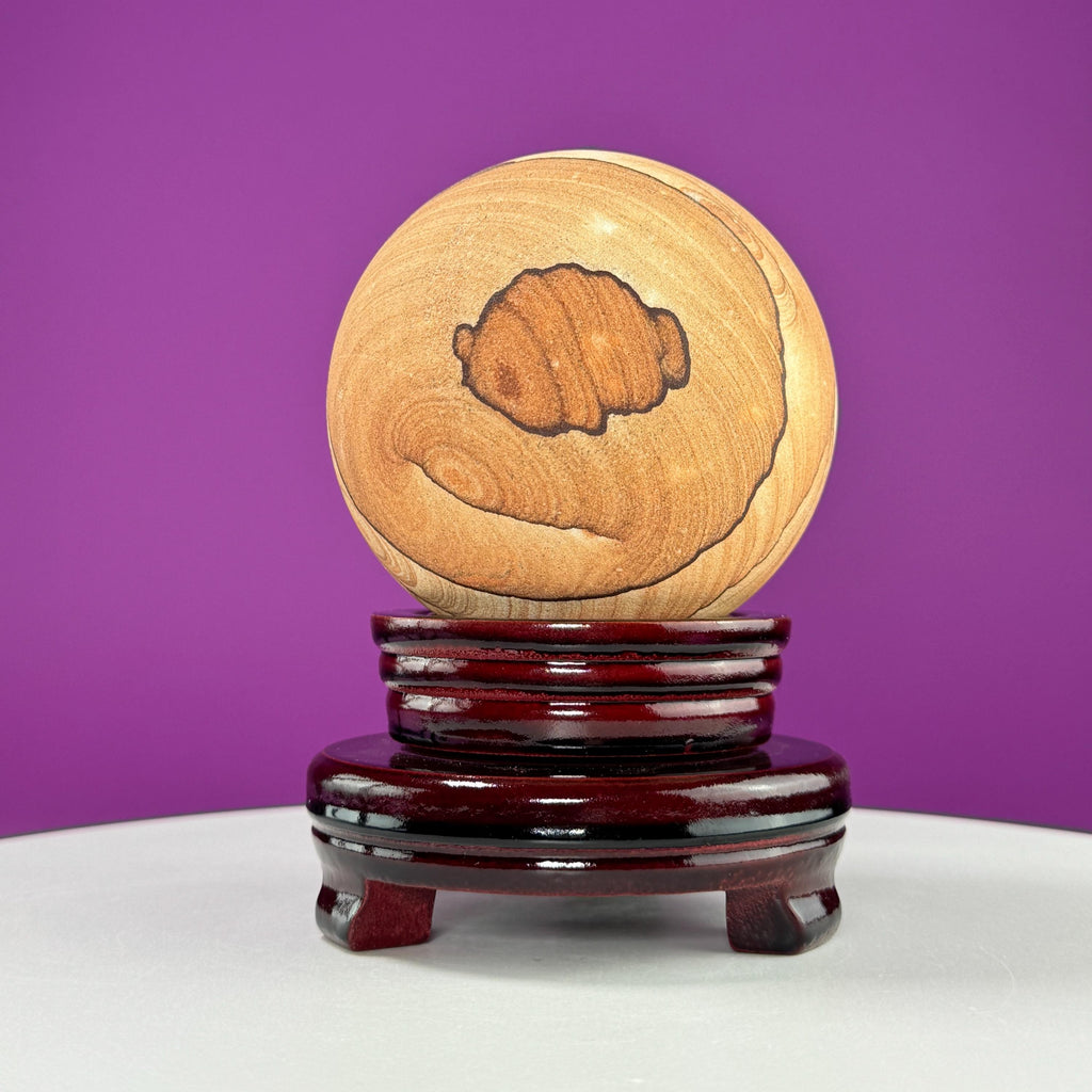 Sandstone Sphere 949g with Spinning Wood Stand – Large Collector Display