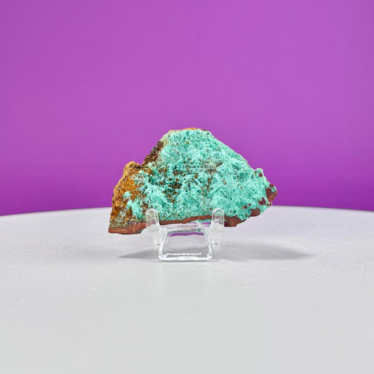 Brochantite Specimen (Mexico) (Includes Acrylic Stand)