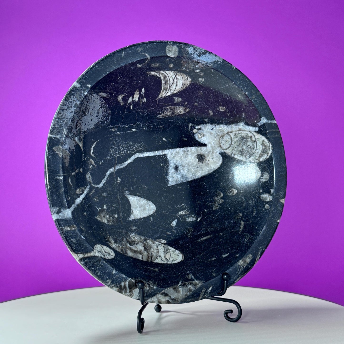 Orthoceras Fossil Bowl (Includes Black Metal Stand)