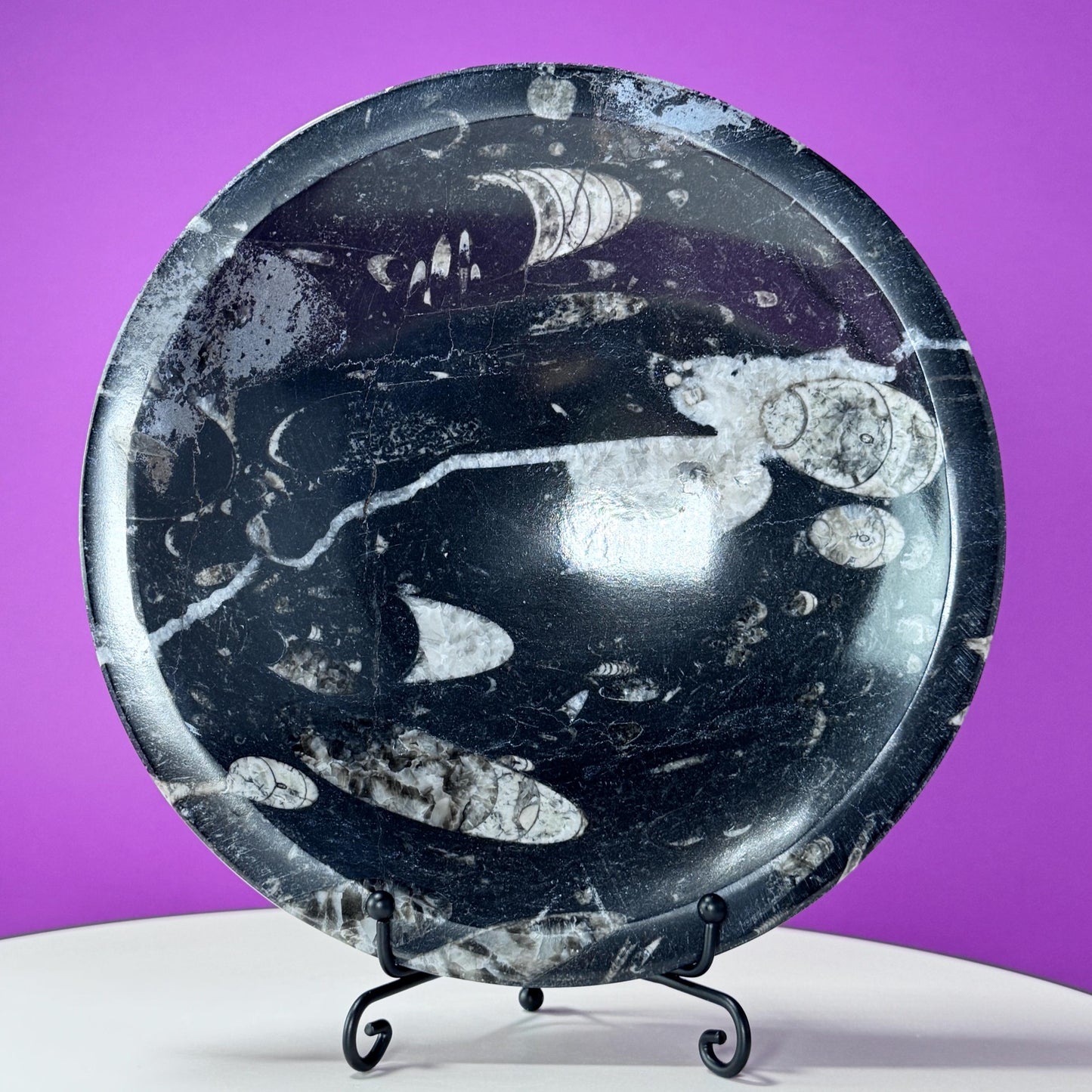 Orthoceras Fossil Bowl (Includes Black Metal Stand)