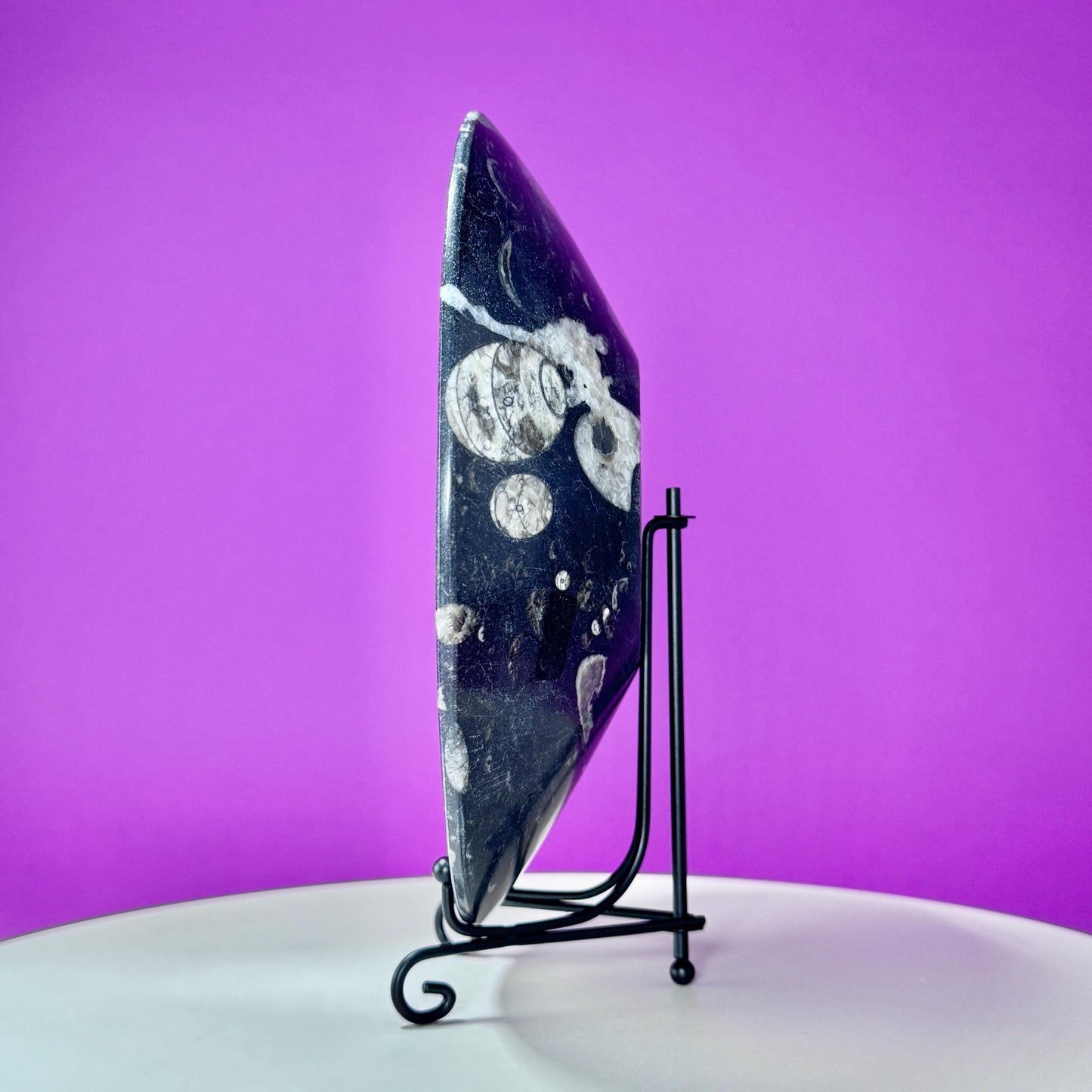 Orthoceras Fossil Bowl (Includes Black Metal Stand)