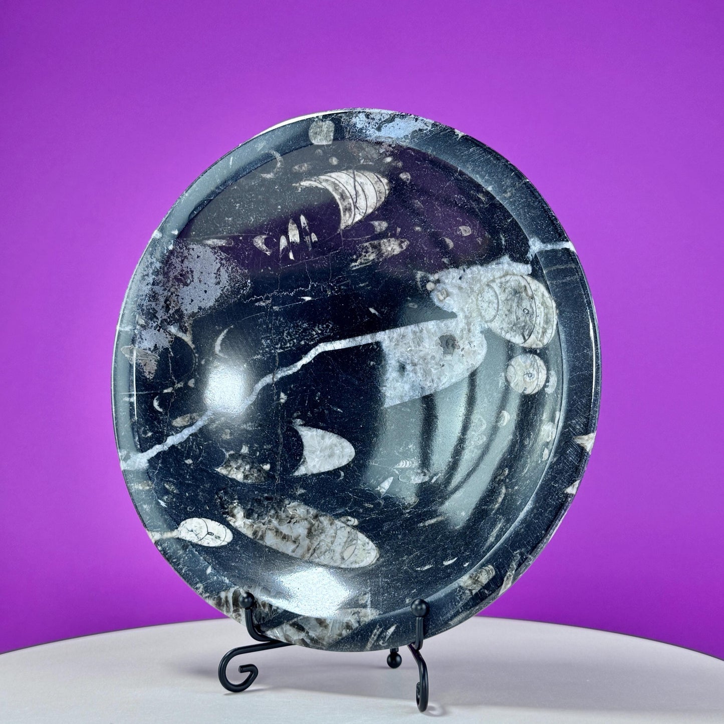 Orthoceras Fossil Bowl (Includes Black Metal Stand)