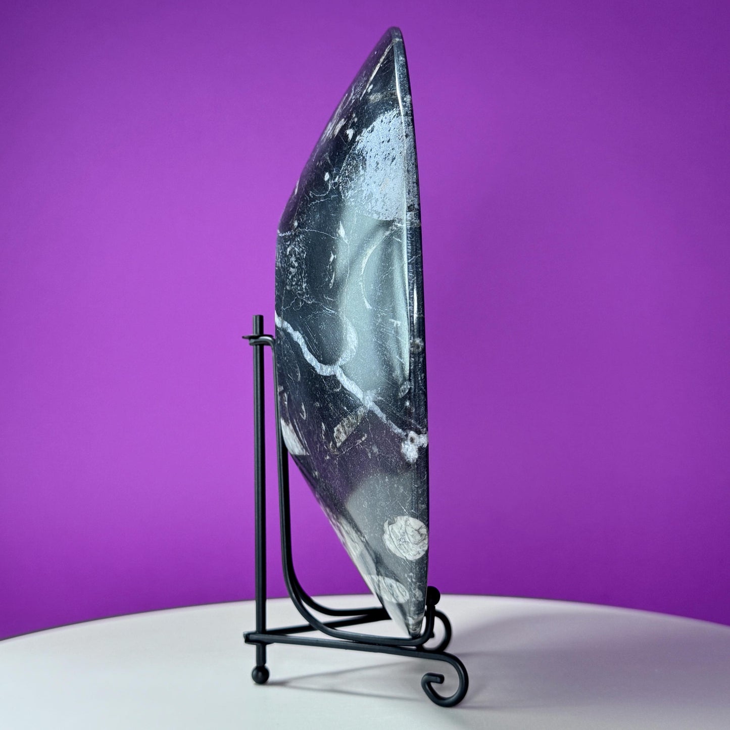 Orthoceras Fossil Bowl (Includes Black Metal Stand)