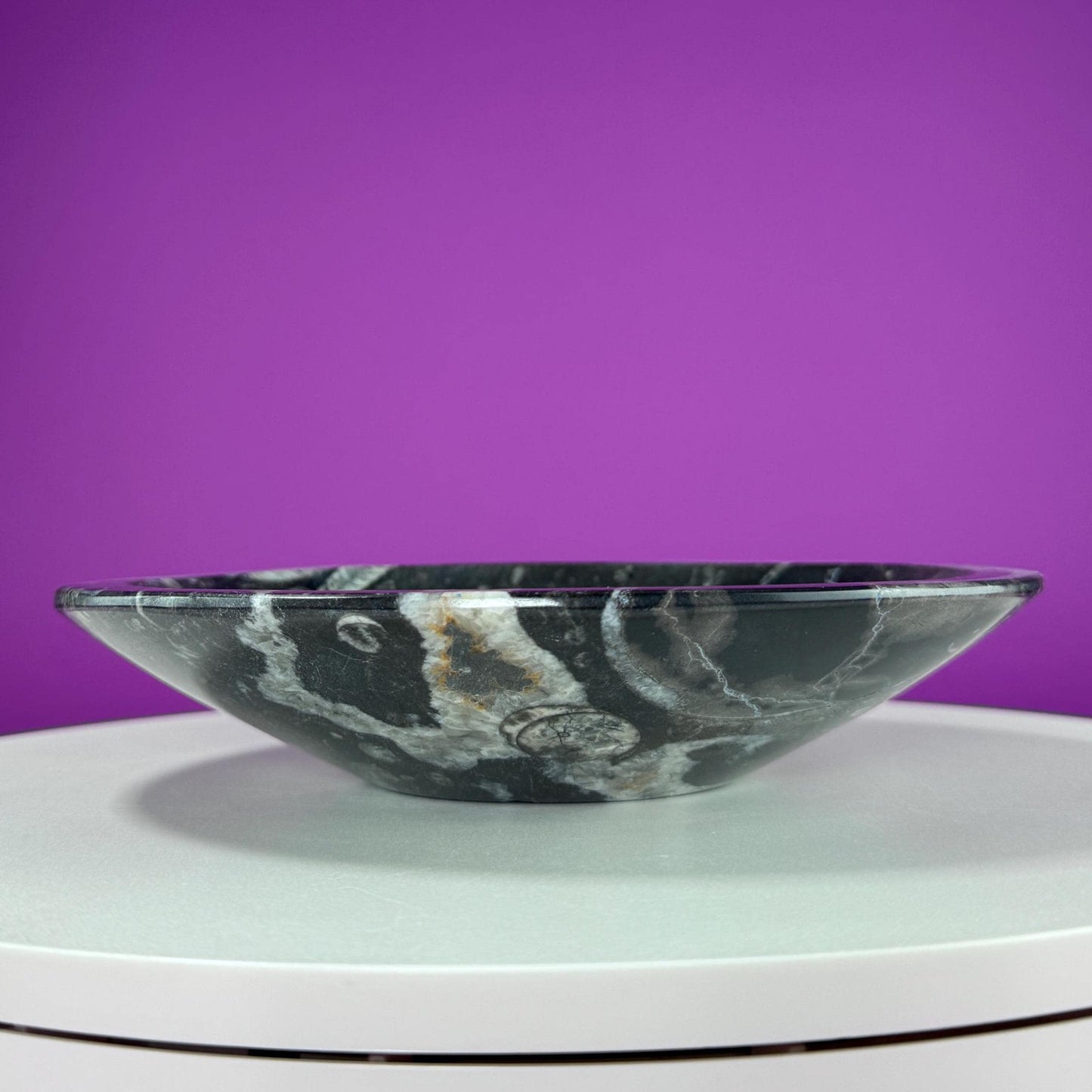 Orthoceras Fossil Bowl (Includes Black Metal Stand)