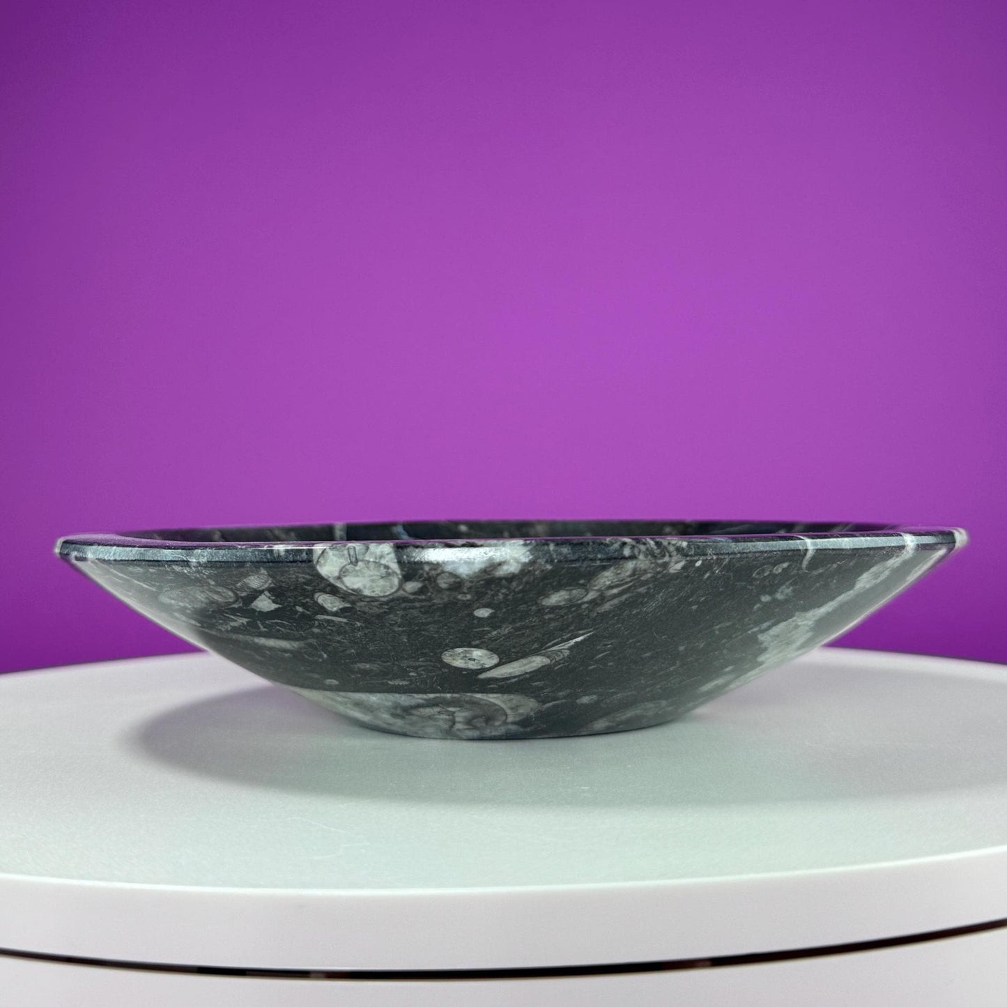 Orthoceras Fossil Bowl (Includes Black Metal Stand)