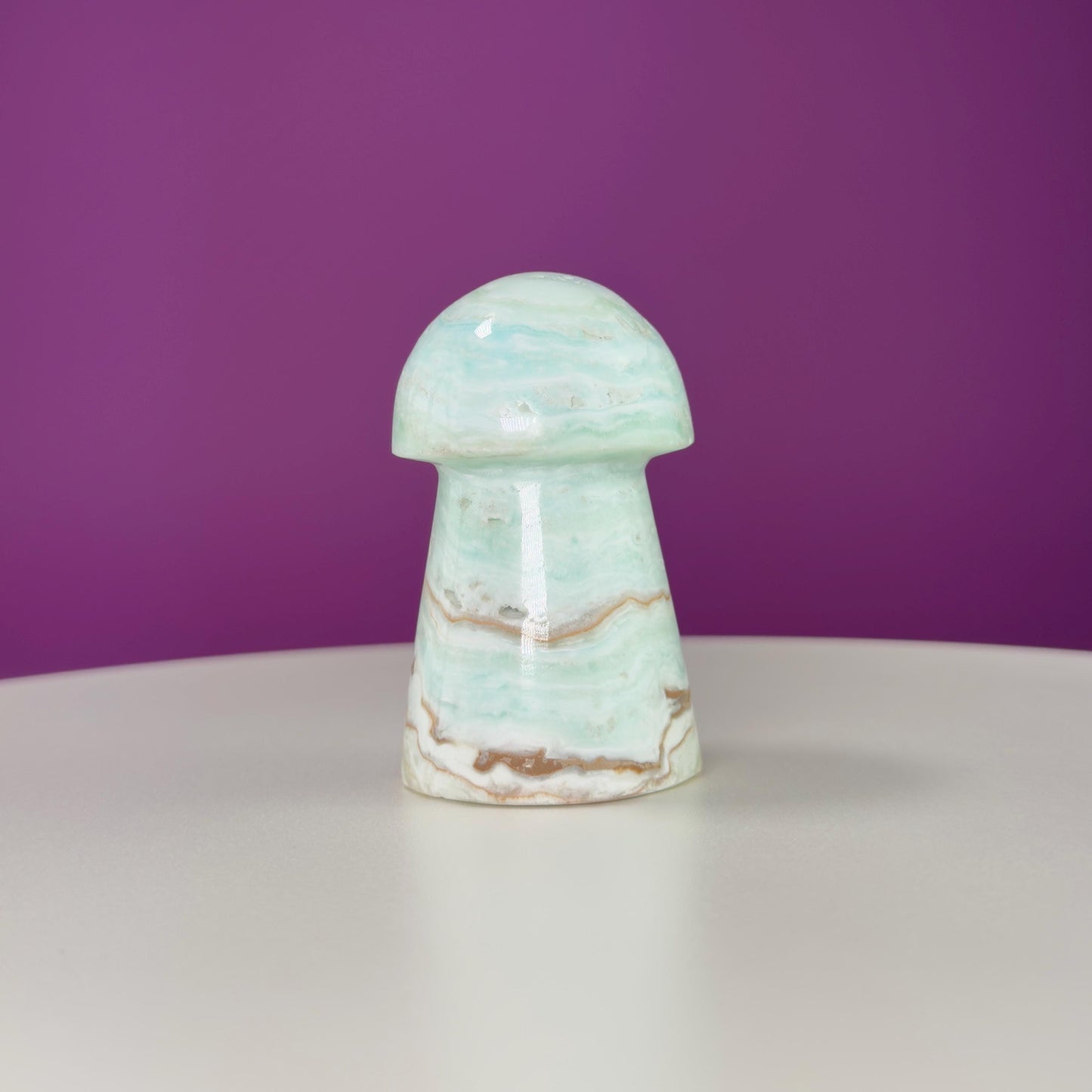 Caribbean Calcite Mushroom Carving
