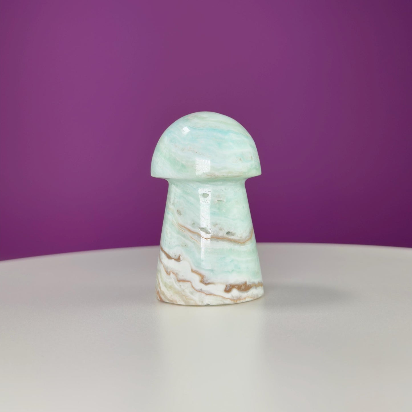 Caribbean Calcite Mushroom Carving