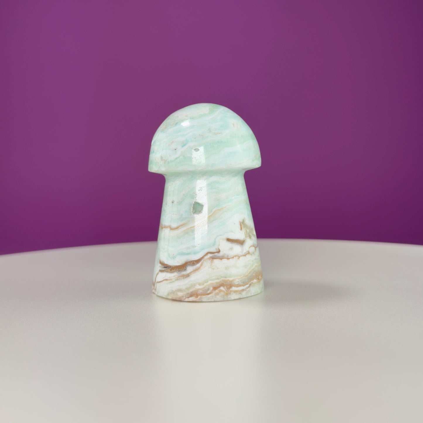Caribbean Calcite Mushroom Carving
