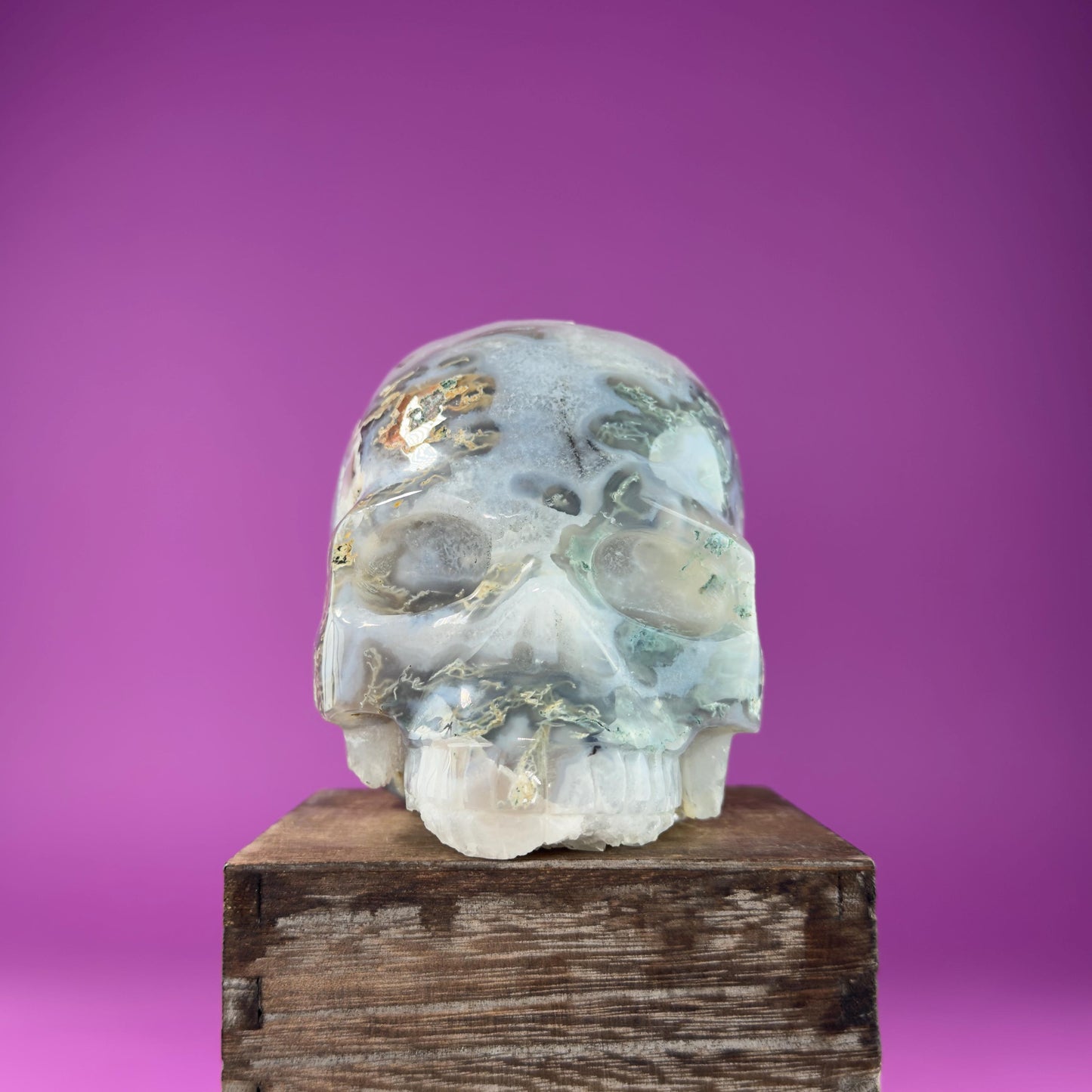 Moss Agate Skull with Druzy, 3+Pounds