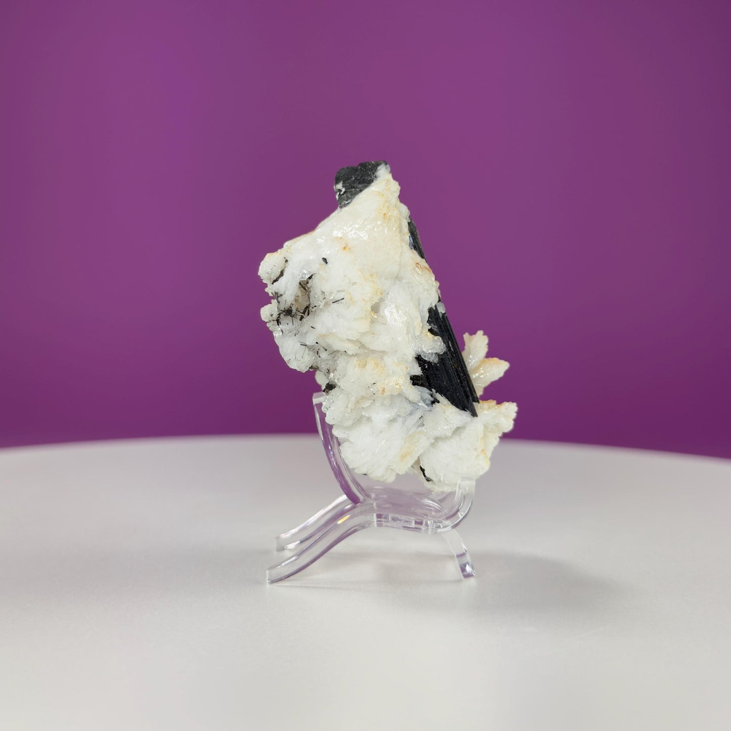 Black Tourmaline in Matrix (Skardu, Pakistan) (Includes Acrylic Stand)