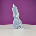 Blue Lace Agate Skull with Generator