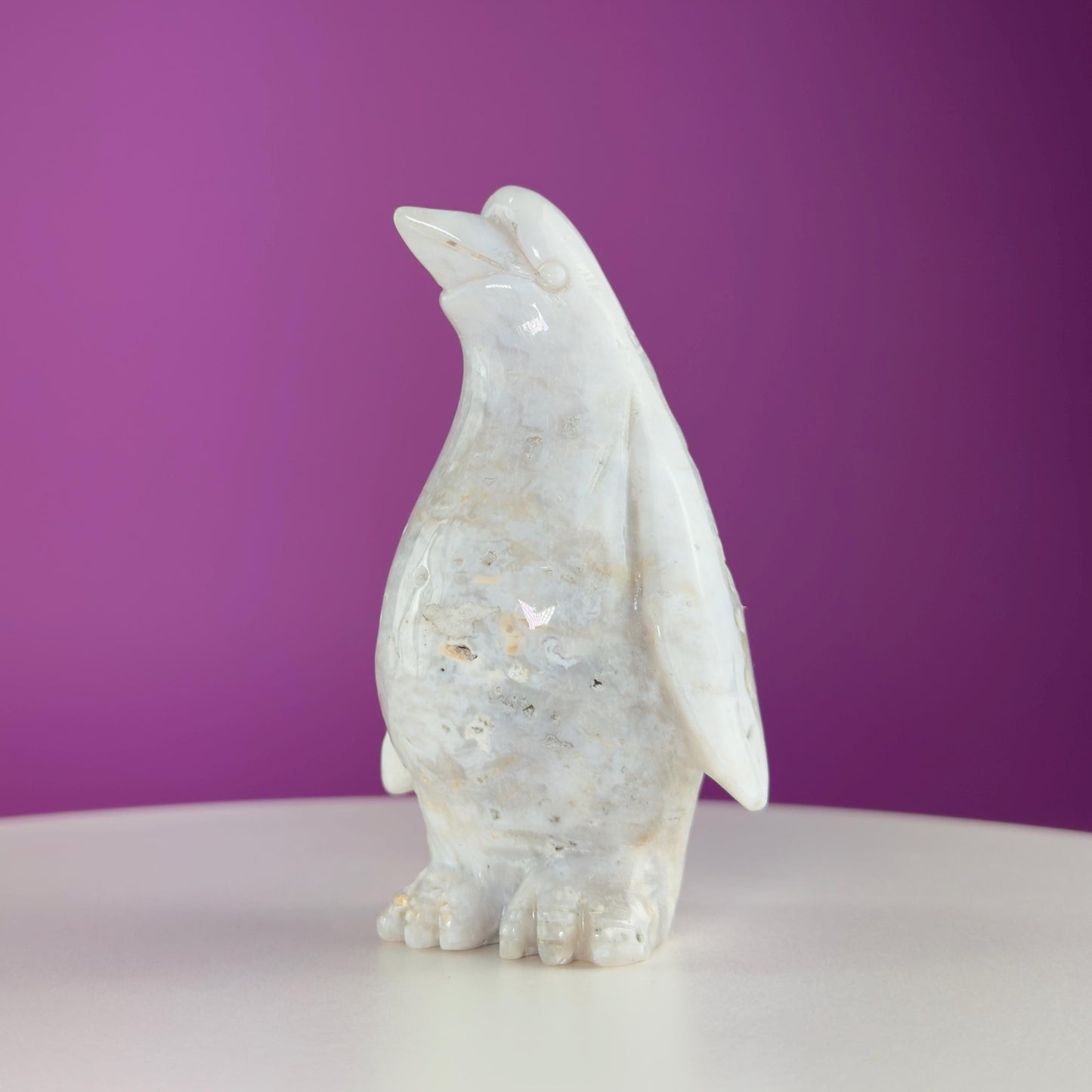 Light Ocean Jasper Penguin Carving, Crystal Animal Carving, Druzy Pocket