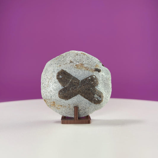Staurolite Stone, Fairy Cross (Russia) (Includes Acrylic Stand)