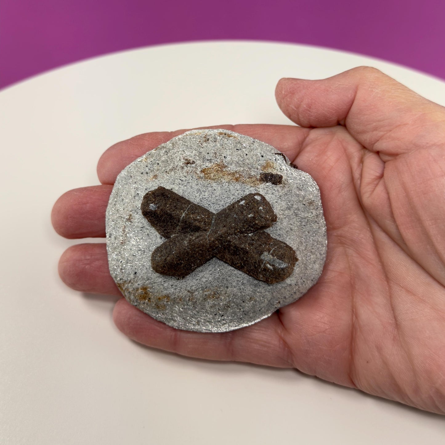 Staurolite Stone, Fairy Cross (Russia) (Includes Acrylic Stand)