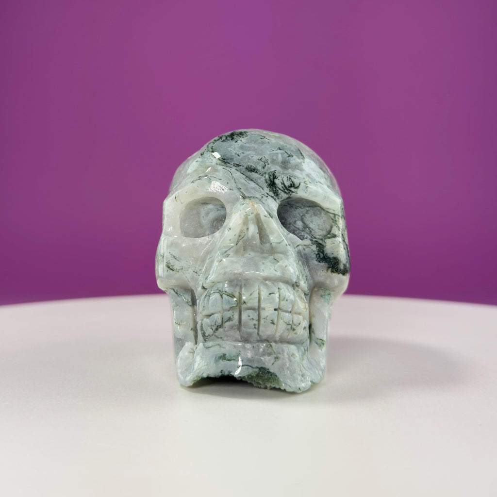 Moss Agate Druzy Skull 501g – Natural Crystal Skull Carving