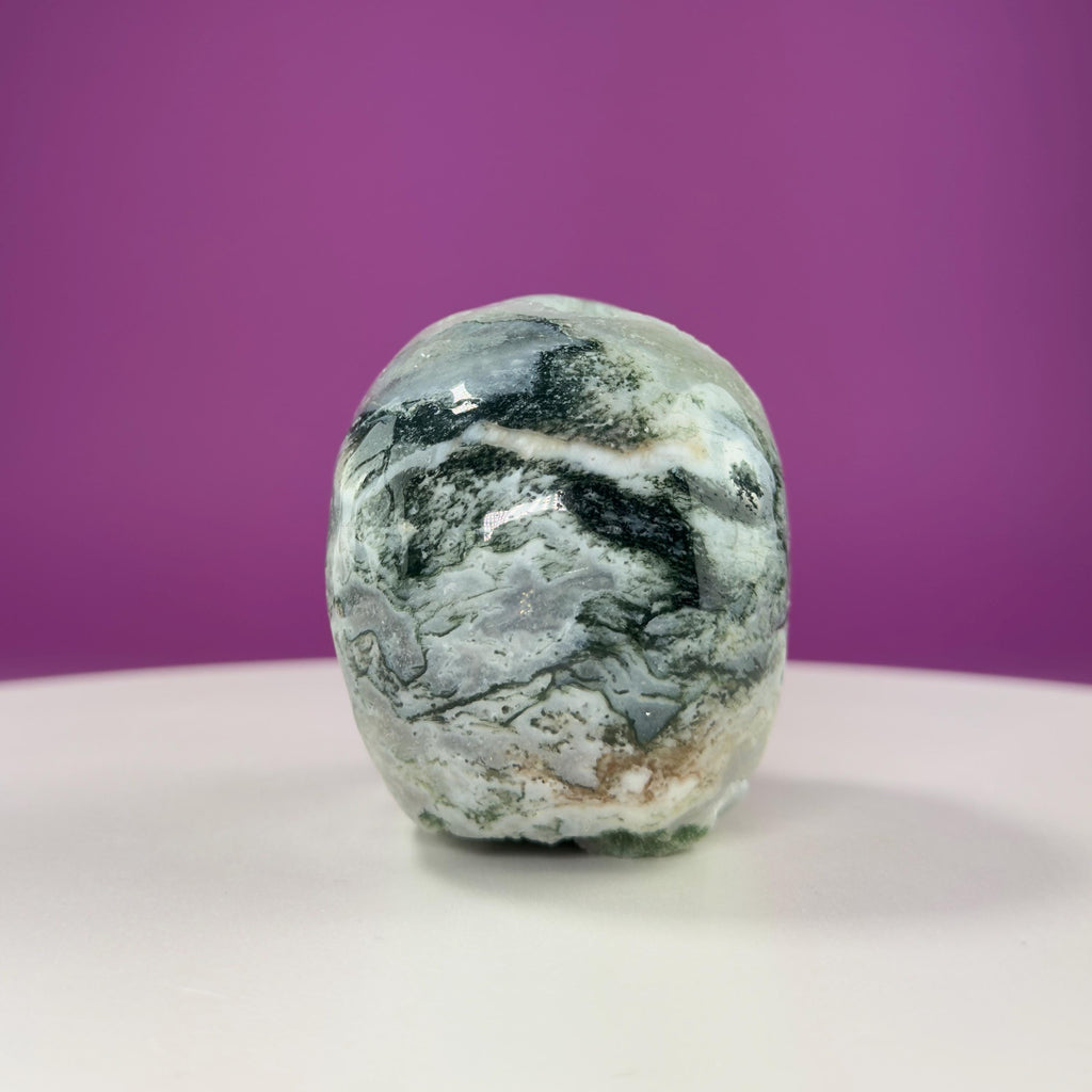 Moss Agate Druzy Skull 501g – Natural Crystal Skull Carving