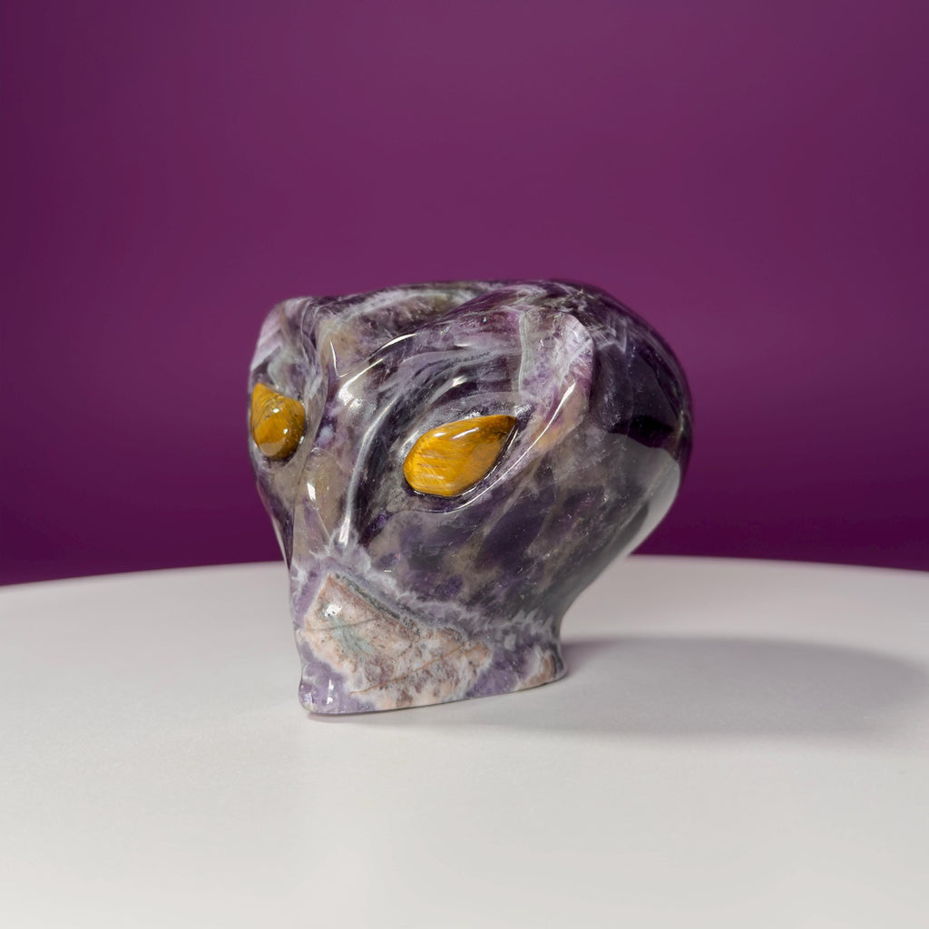 Dream Amethyst Alien Skull with Tiger Eye Eyes – 463g Collector Crystal