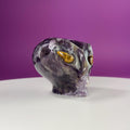 Dream Amethyst Alien Skull with Tiger Eye Eyes – 463g Collector Crystal