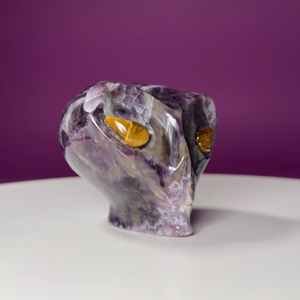 Dream Amethyst Alien Skull with Tiger Eye Eyes – 463g Collector Crystal