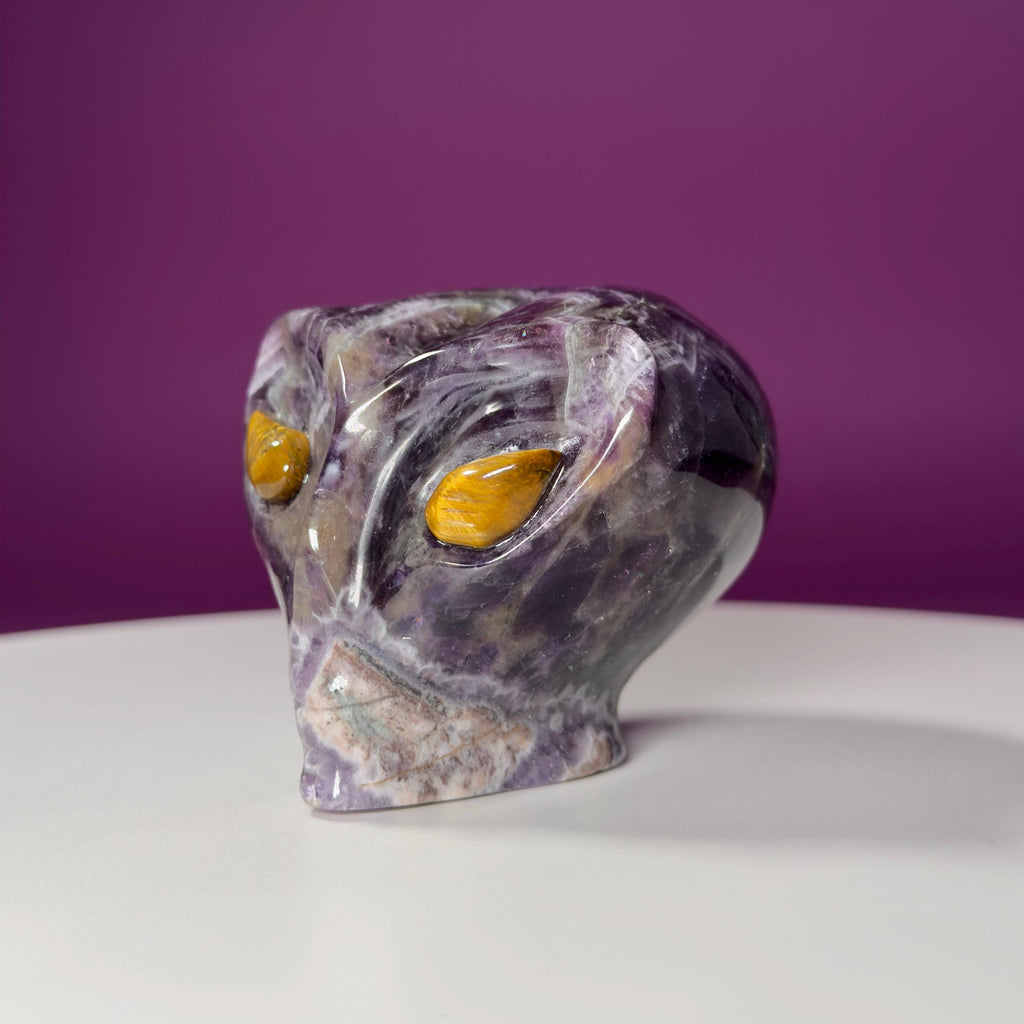 Dream Amethyst Alien Skull with Tiger Eye Eyes – 463g Collector Crystal